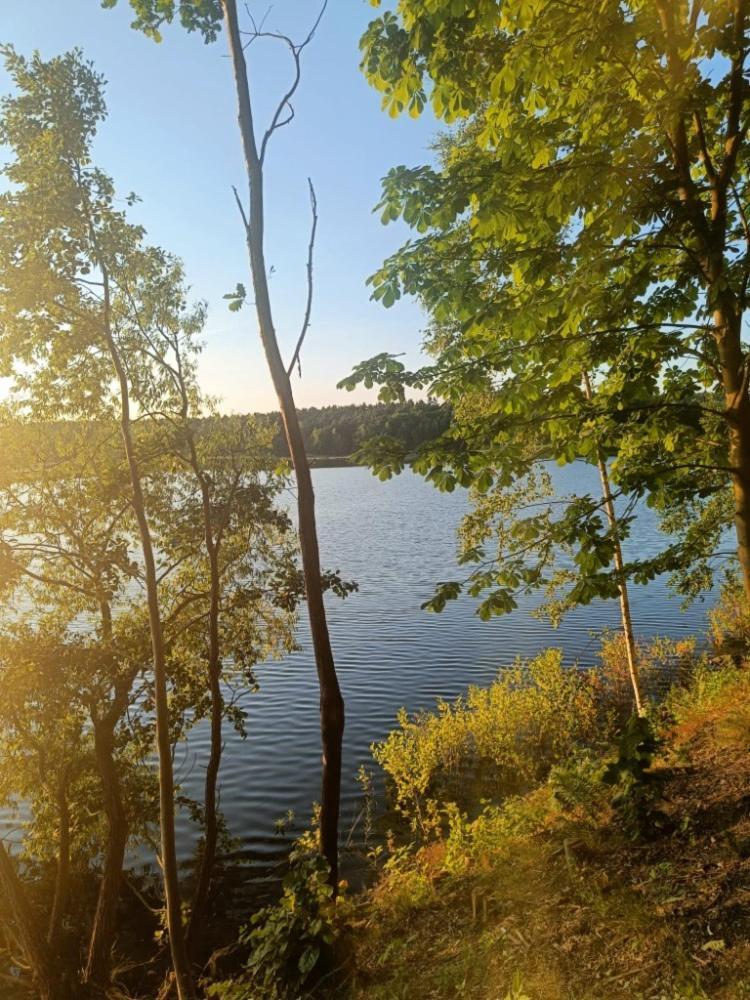 Relaxklub Villa S Wellness Tremosna Buitenkant foto