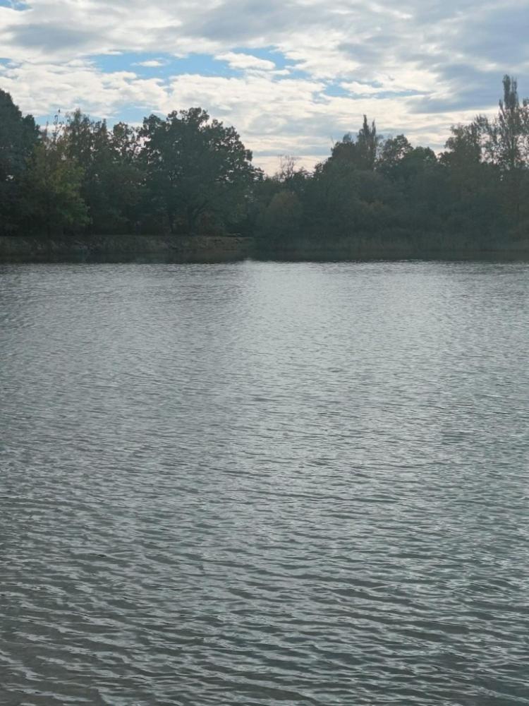 Relaxklub Villa S Wellness Tremosna Buitenkant foto